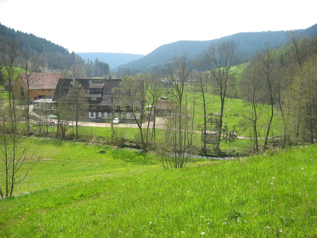 Landgasthof Untere Muehle Alpirsbach Dış mekan fotoğraf